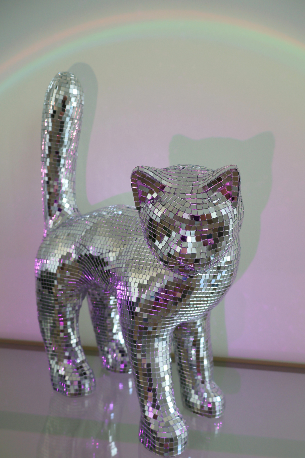 Disco cat - Ziggy Stardust