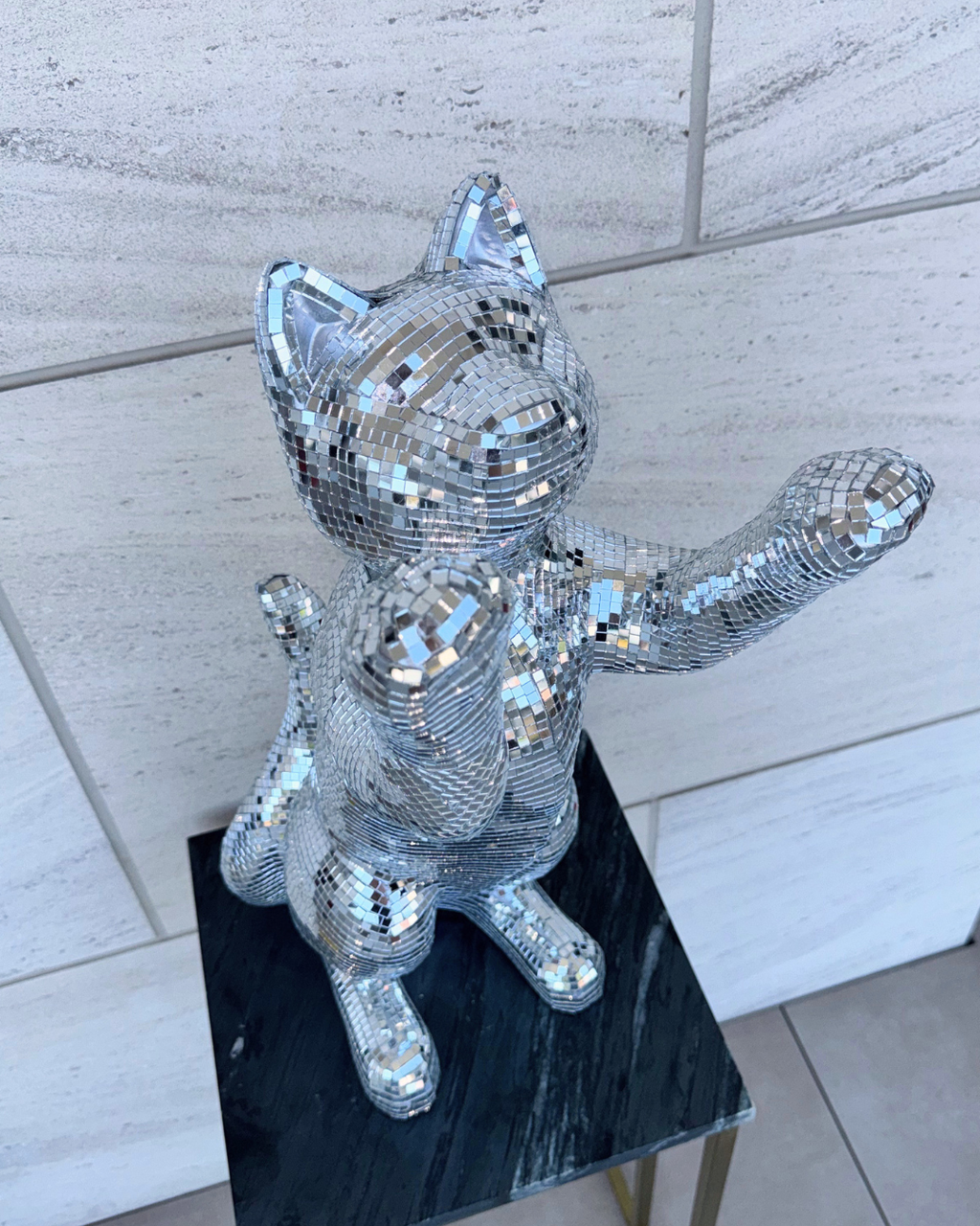 Disco cat - Major Tom