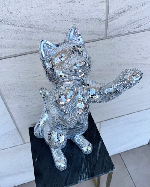 Disco cat - Major Tom