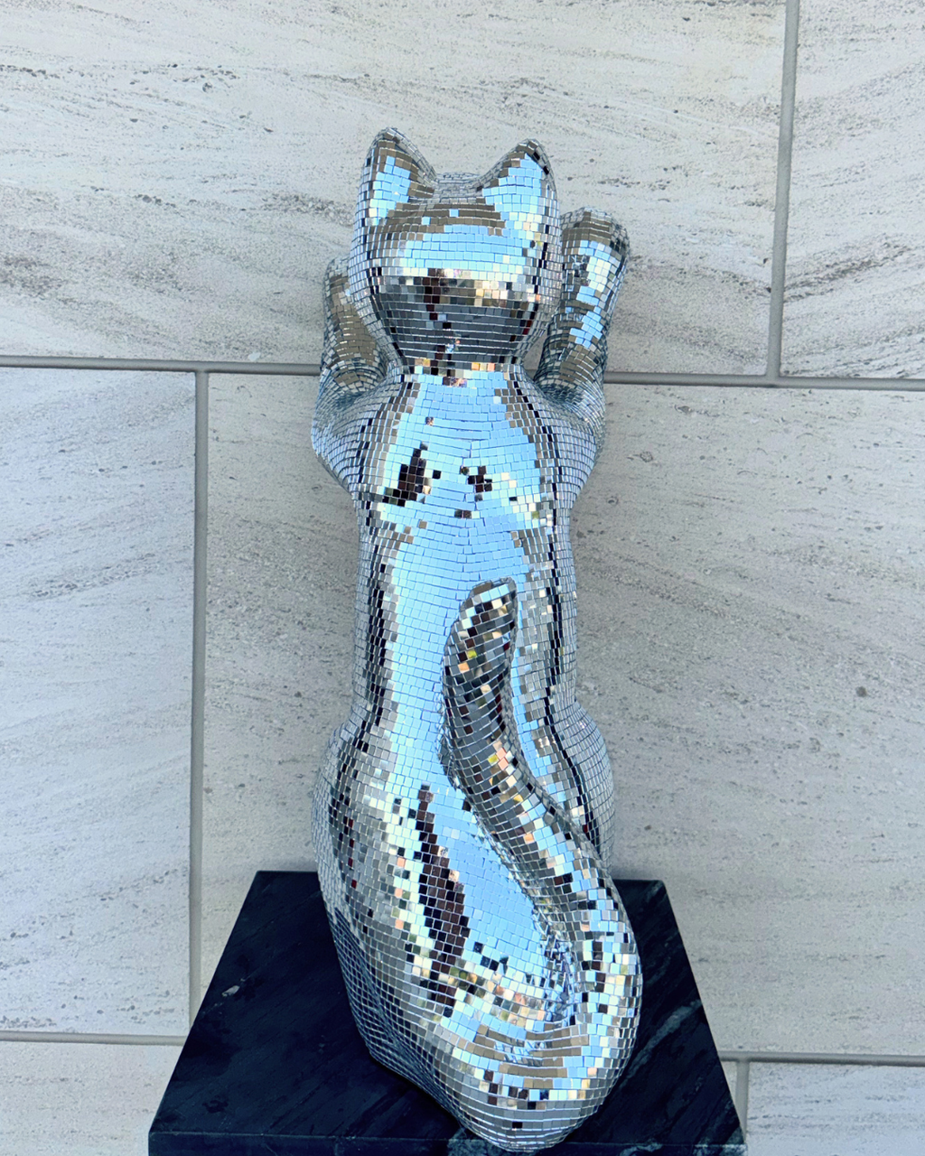 Disco cat - Major Tom