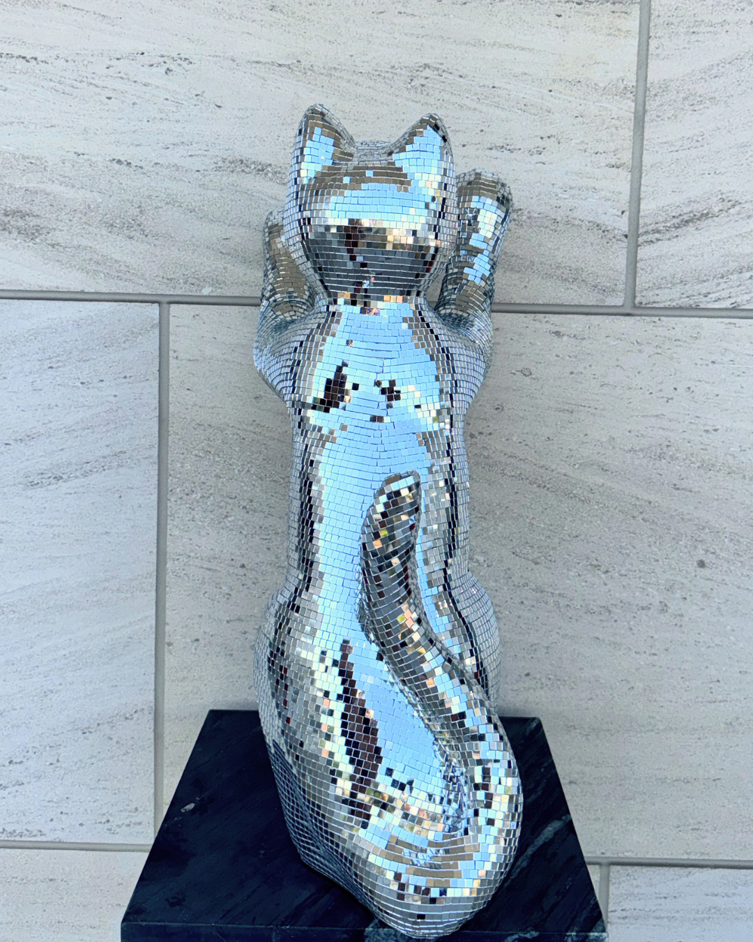 Disco cat - Major Tom