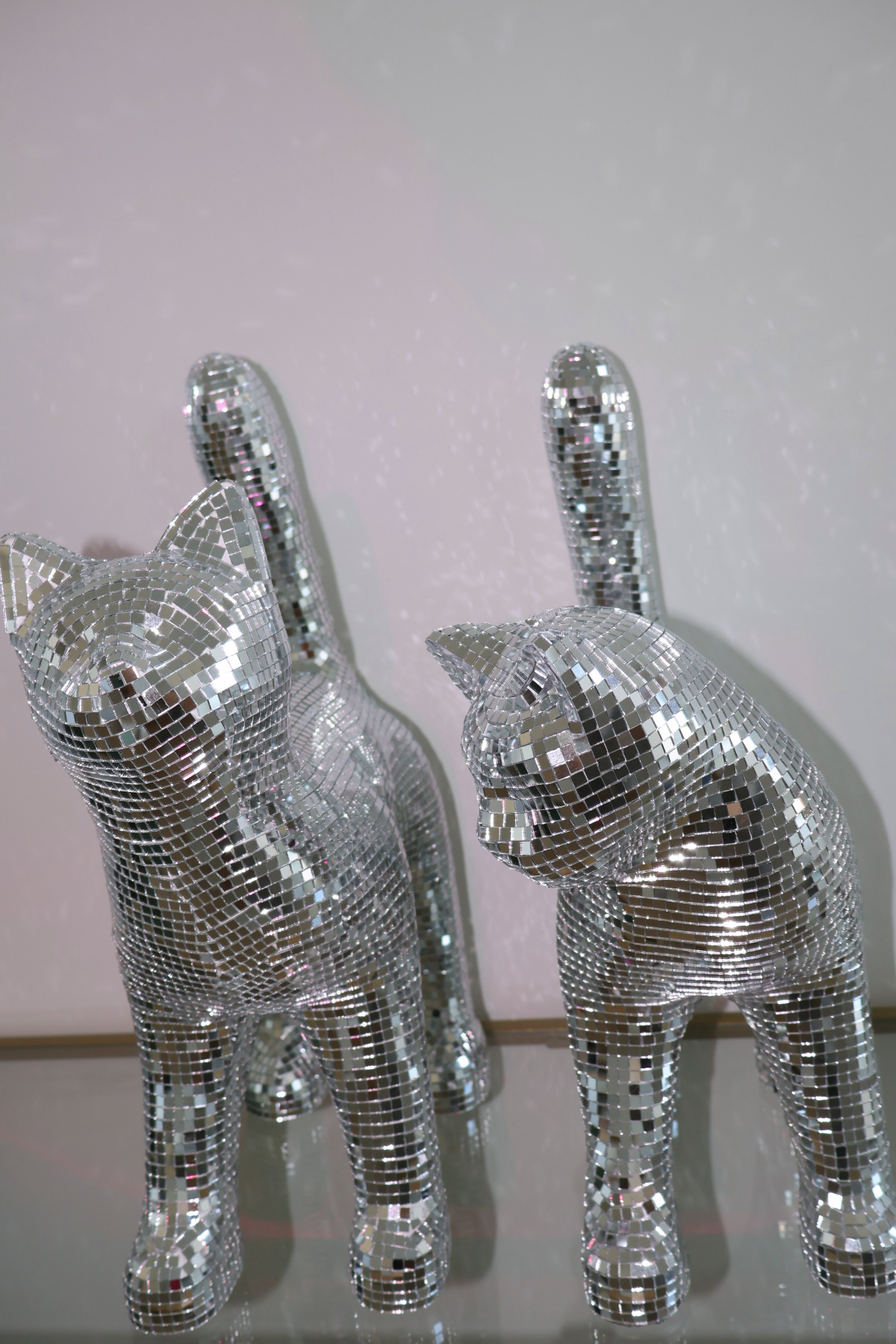 Disco cat - Moonboots