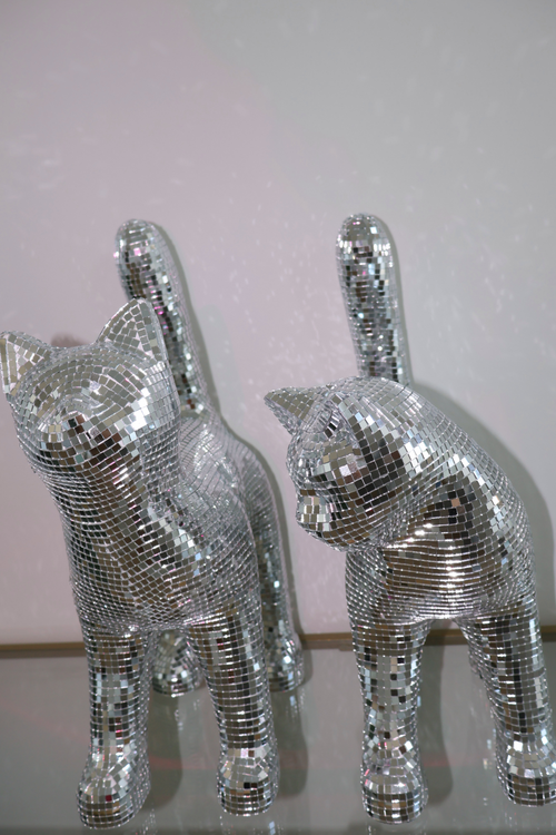 Disco cat - Moonboots