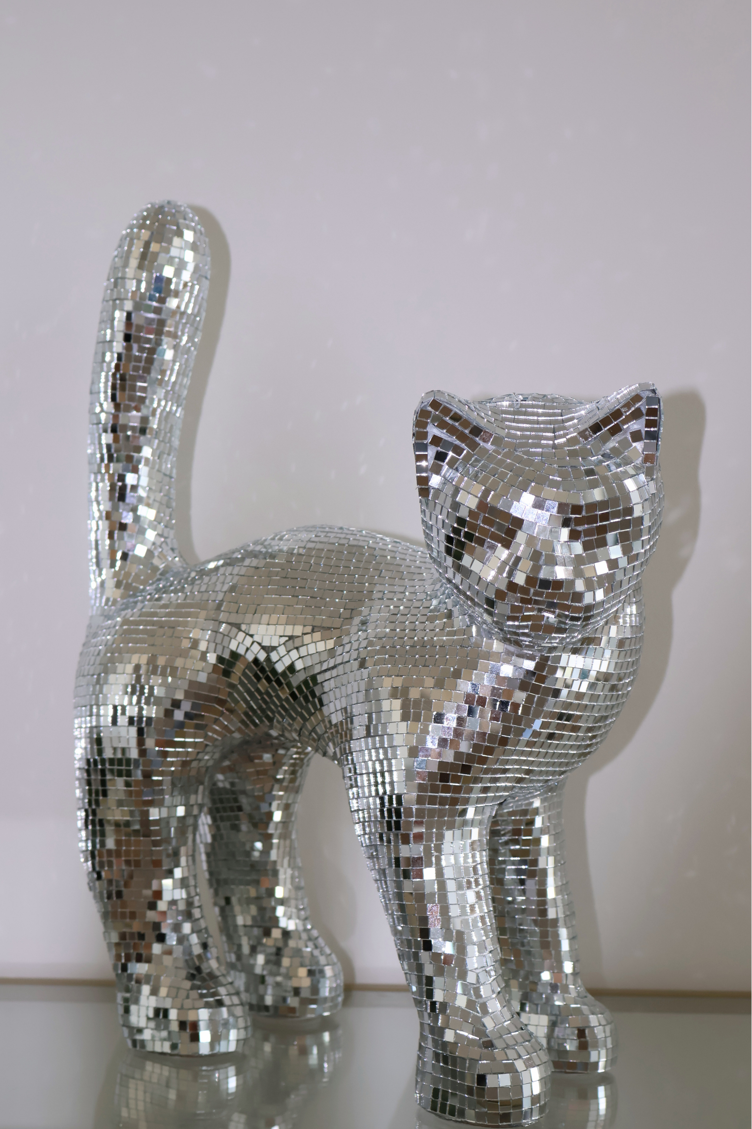 Disco cat - Ziggy Stardust