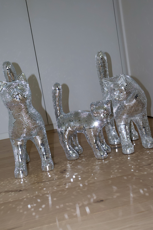 Disco cat - Astro Kitten
