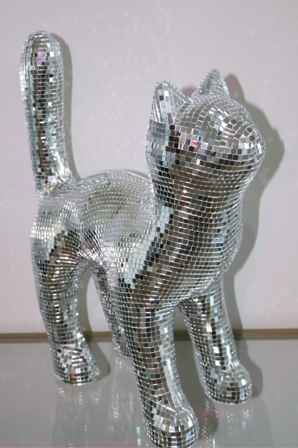 Disco cat - Moonboots