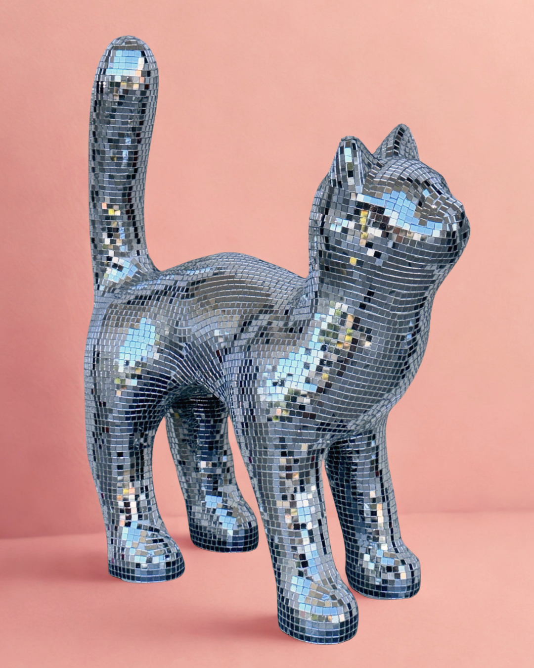 Disco cat - Moonboots
