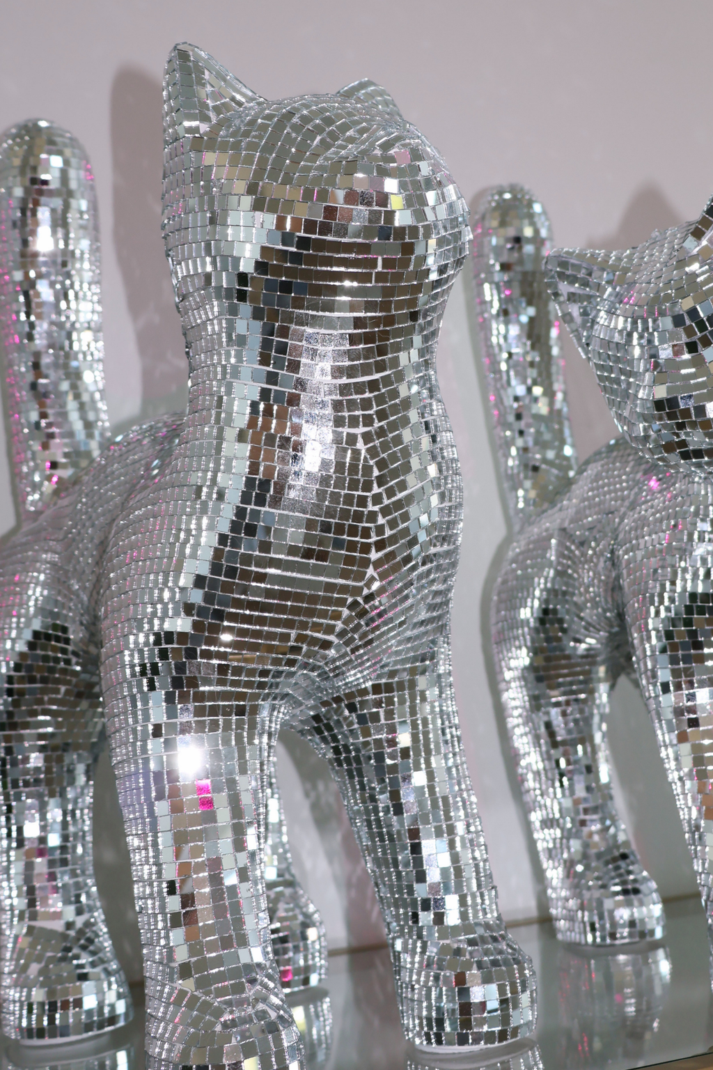 Disco cat - Moonboots