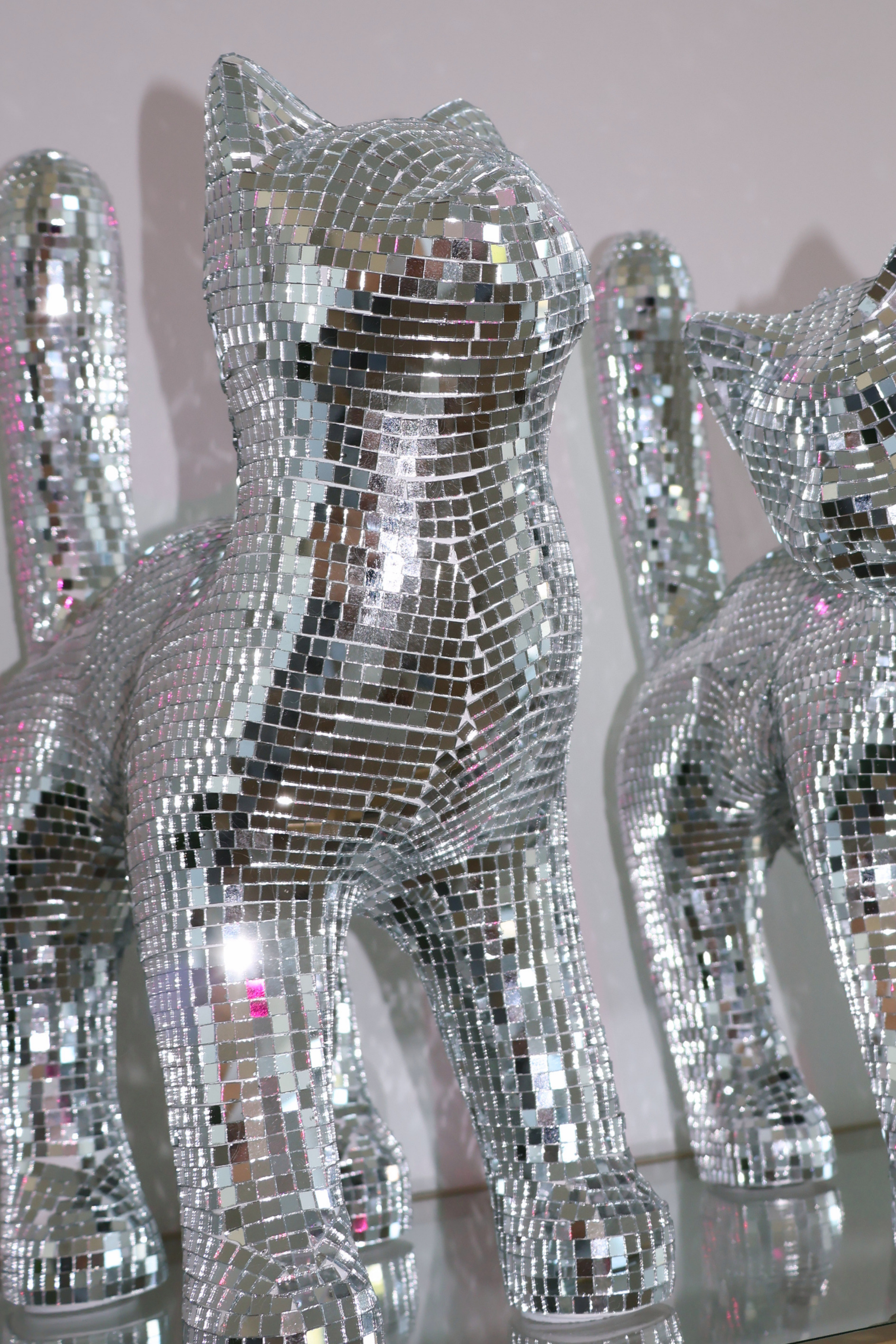 Disco cat - Moonboots