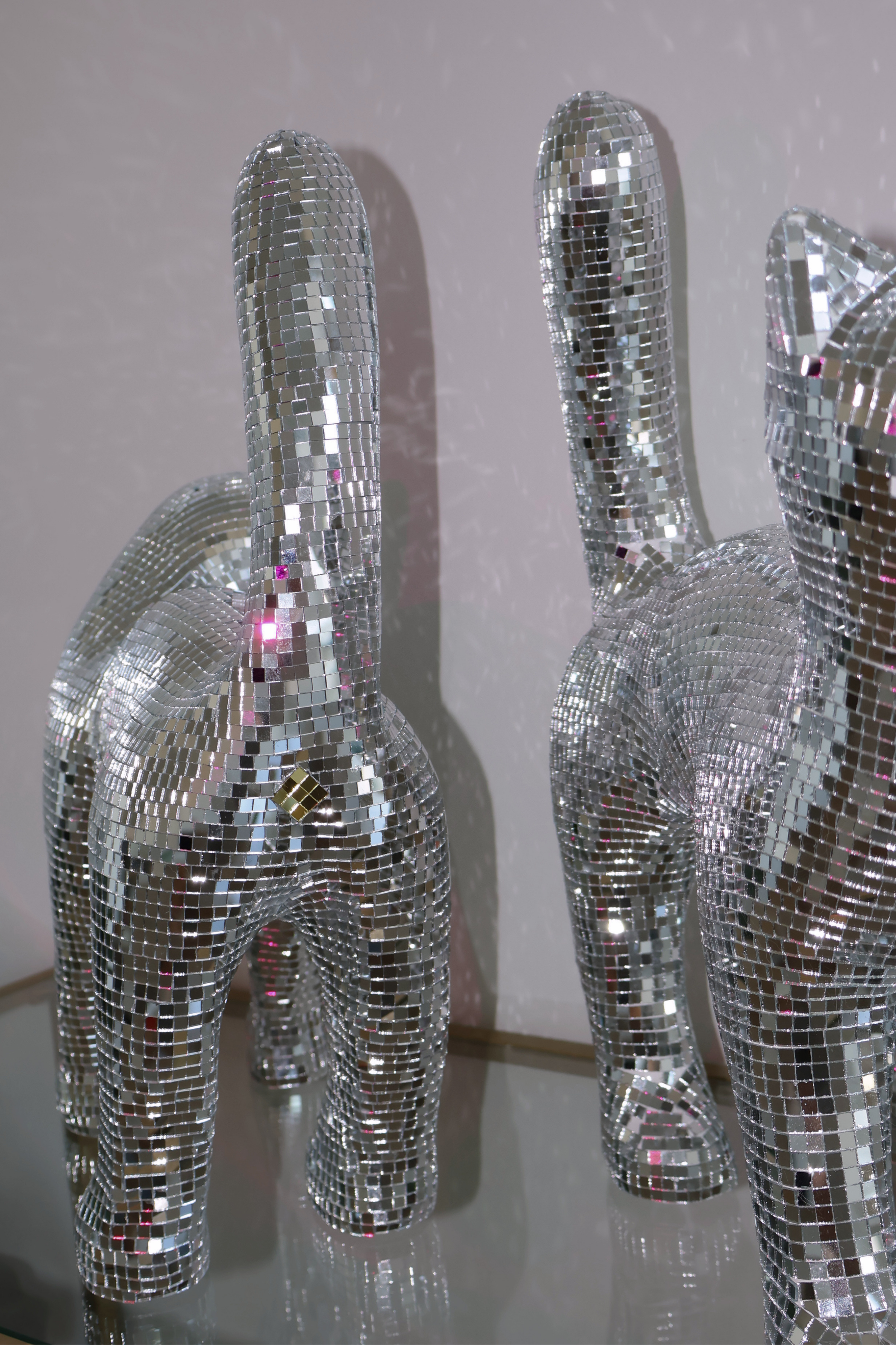 Disco cat - Ziggy Stardust