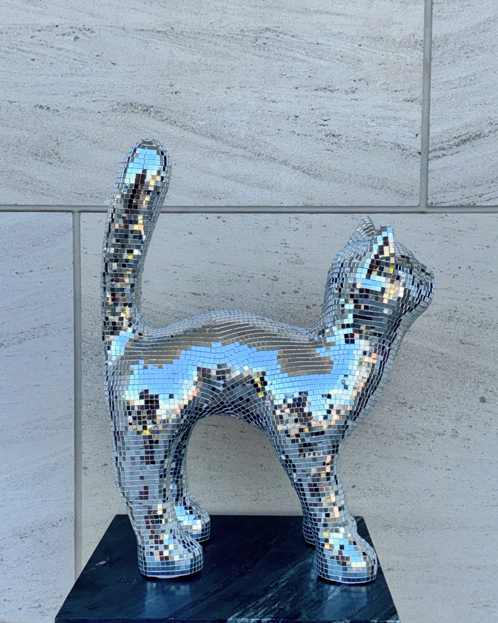 Disco cat - Moonboots