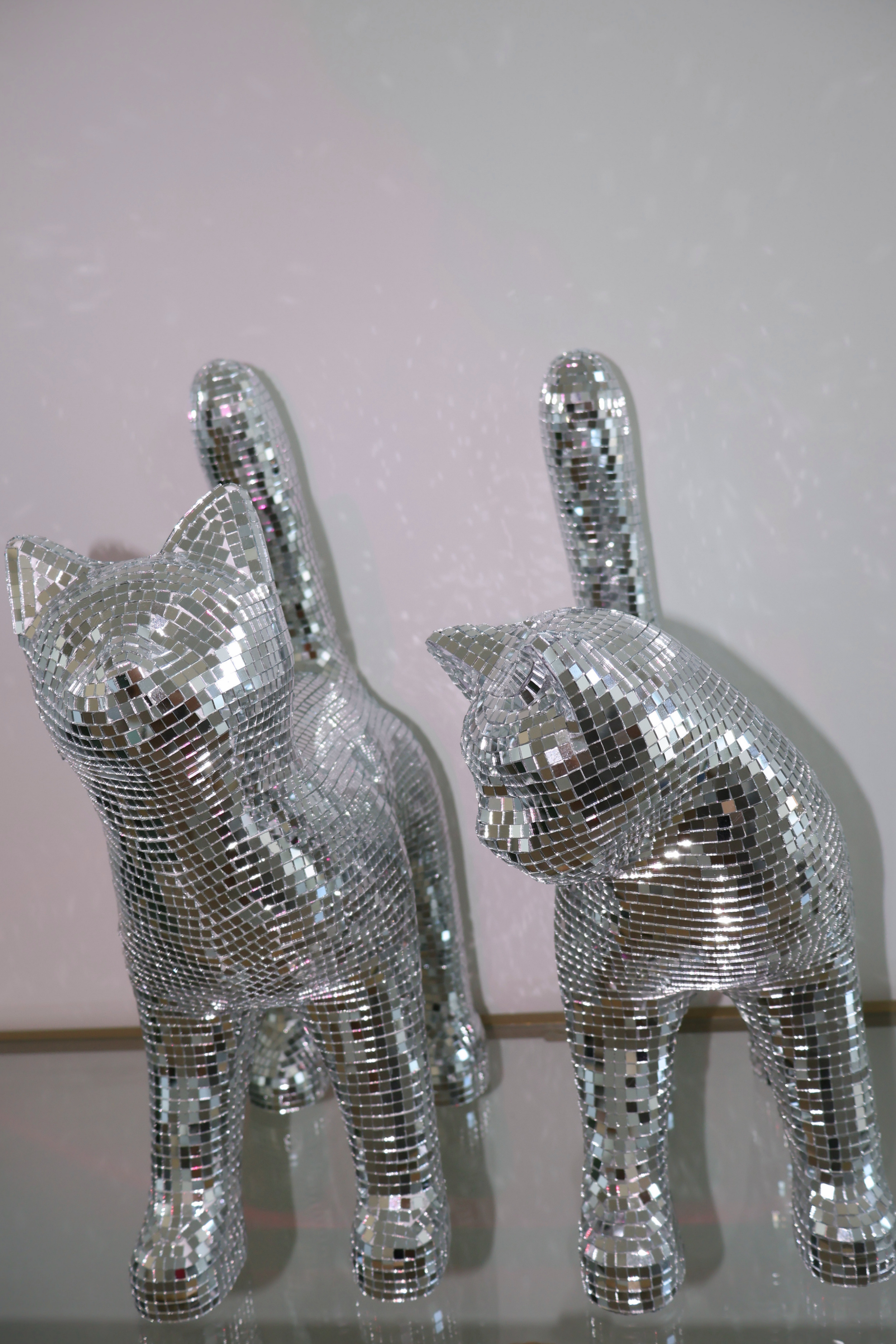 Disco cat - Ziggy Stardust