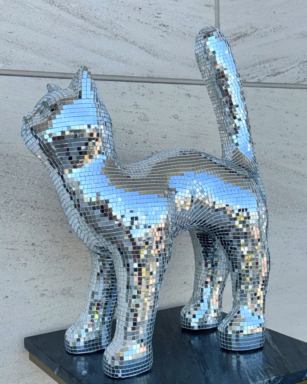 Disco cat - Moonboots