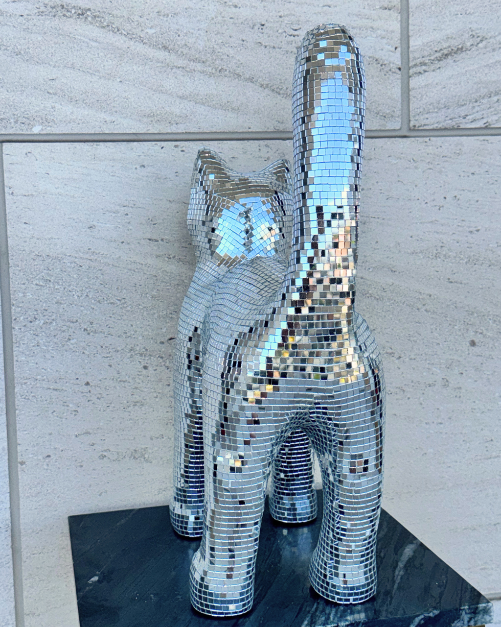 Disco cat - Moonboots