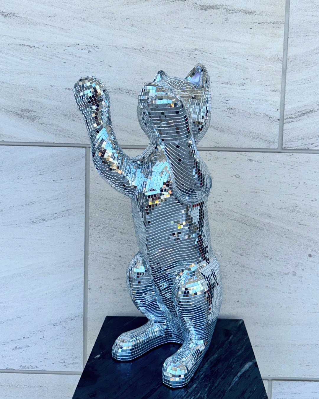 Disco cat - Major Tom