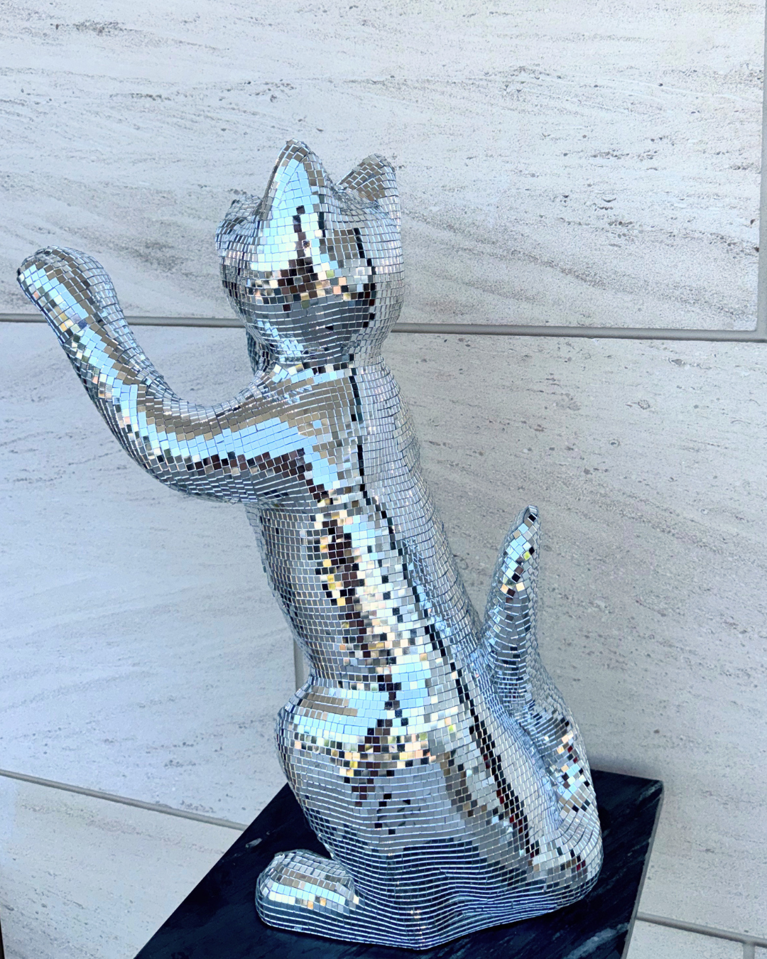 Disco cat - Major Tom
