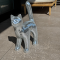 Disco cat - Moonboots