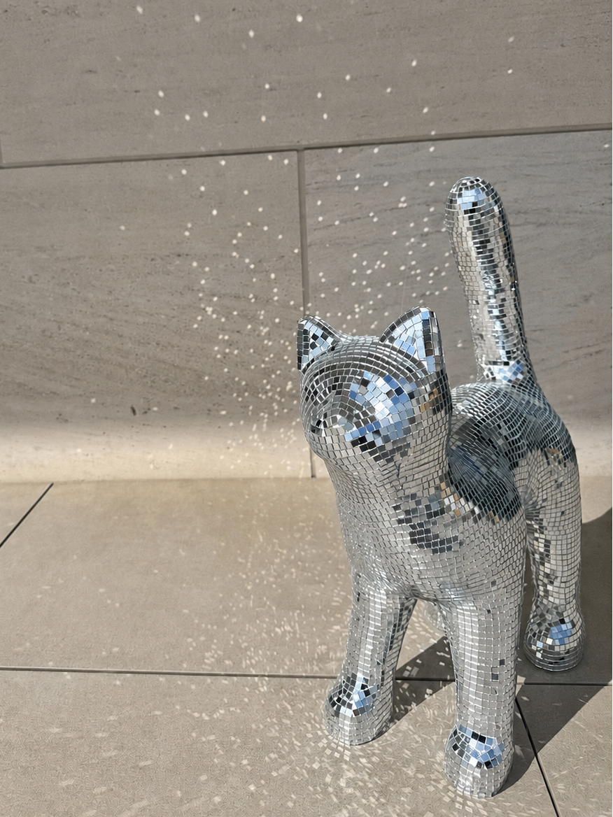 Disco cat - Moonboots