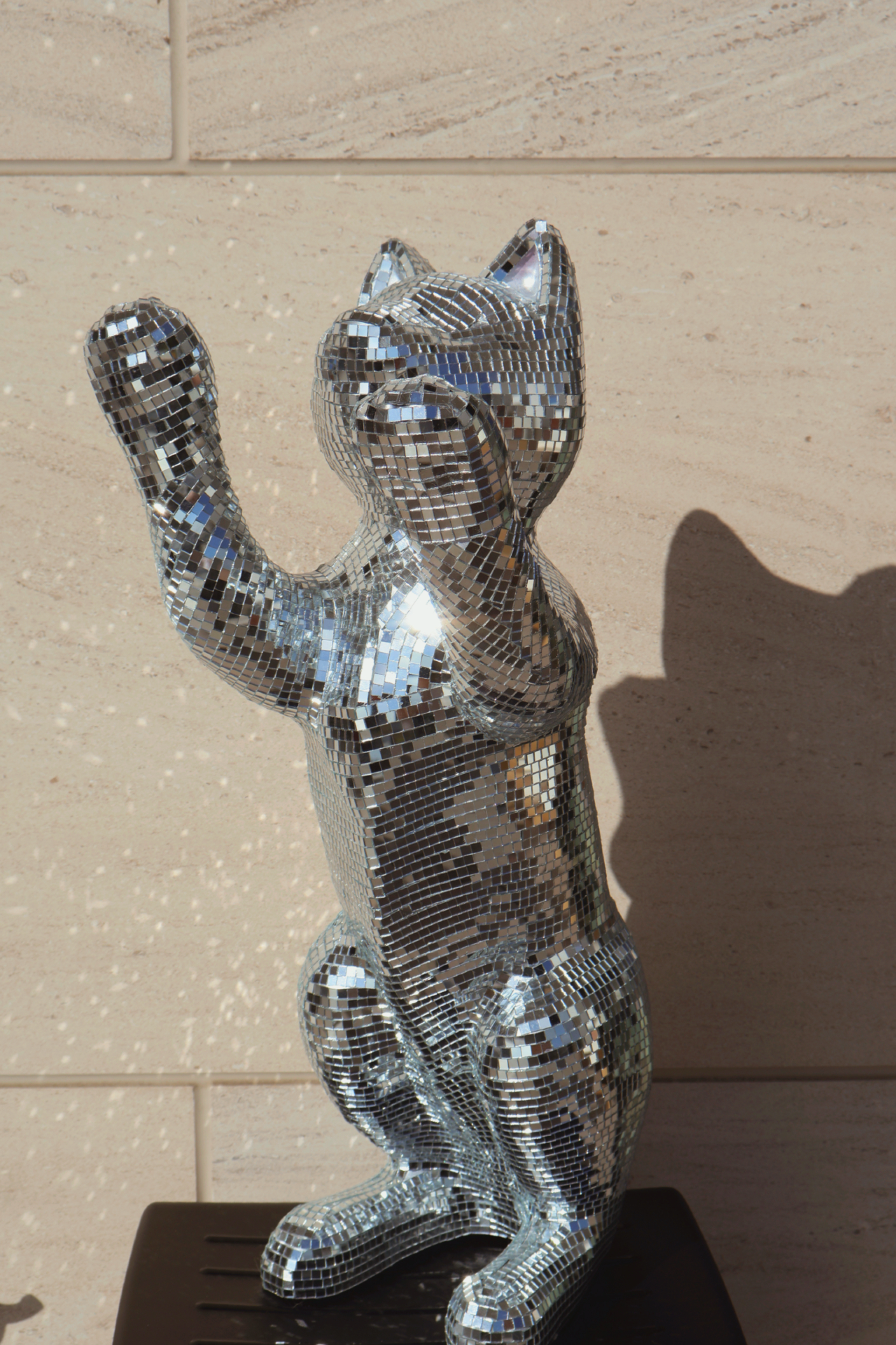 Disco cat - Major Tom