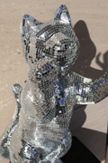 Disco cat - Major Tom
