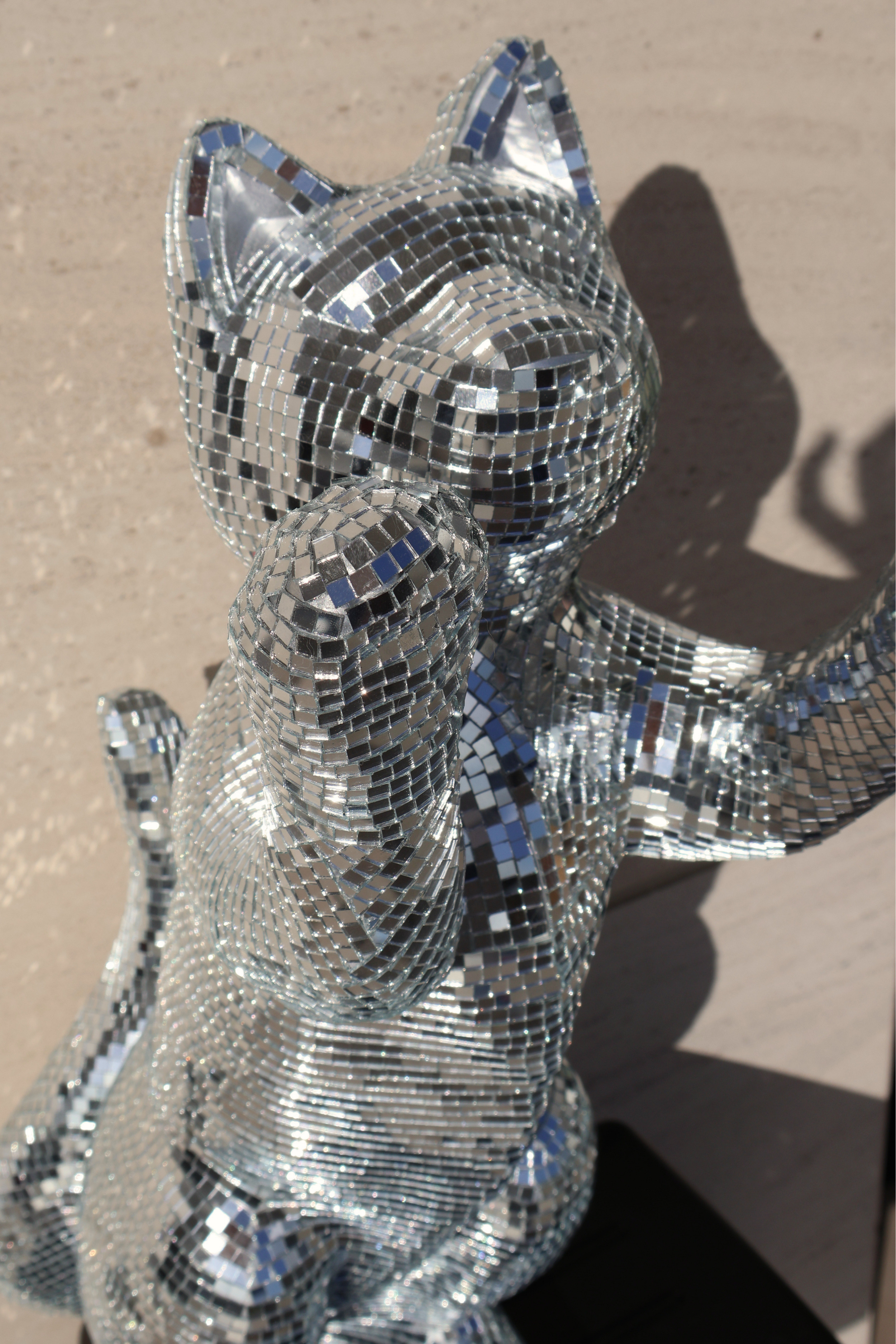 Disco cat - Major Tom