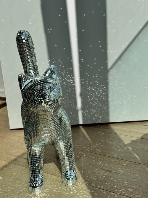 Disco cat - Moonboots
