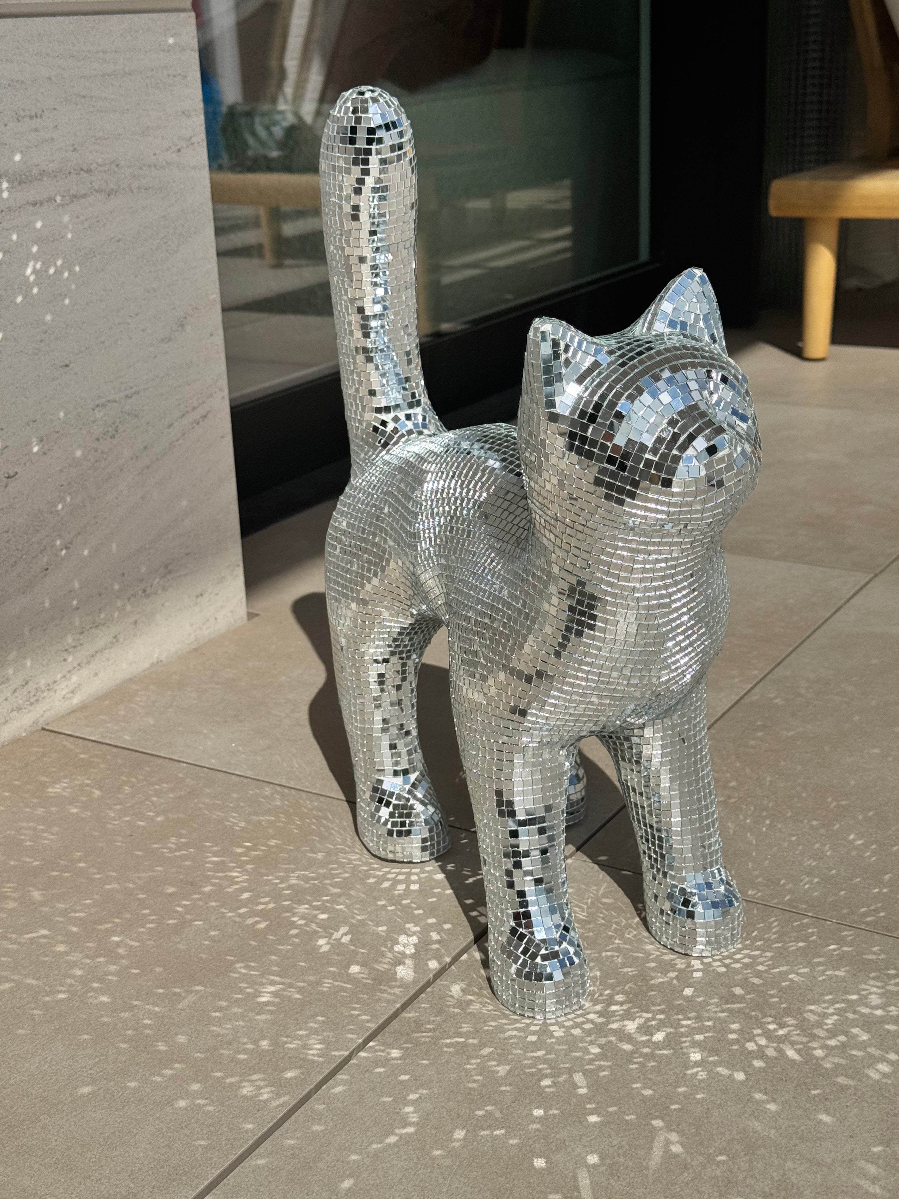 Disco cat - Moonboots