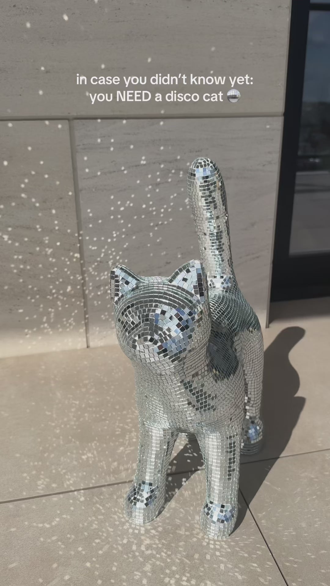 Disco cat - Moonboots