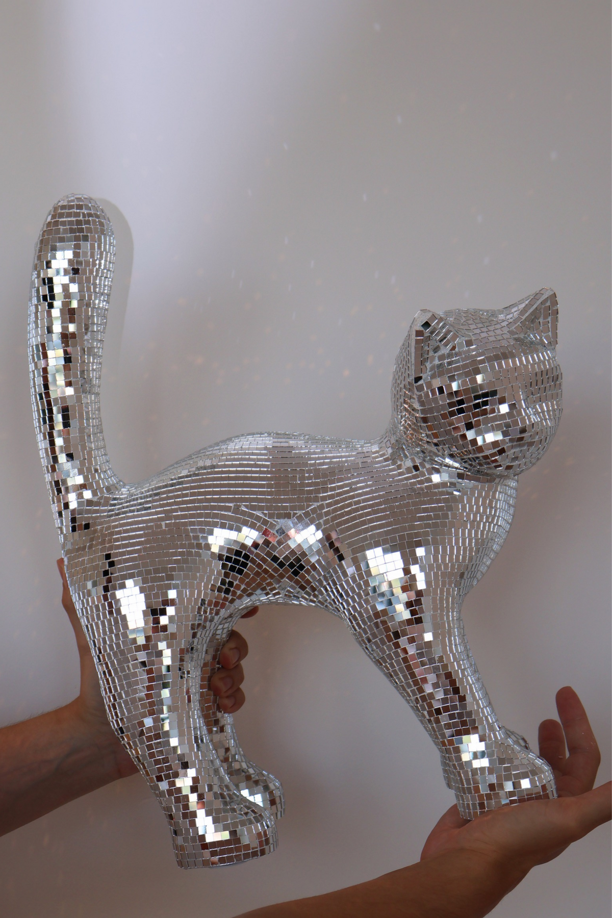 PRE-ORDER Disco Cat Medium (Ziggy Stardust)